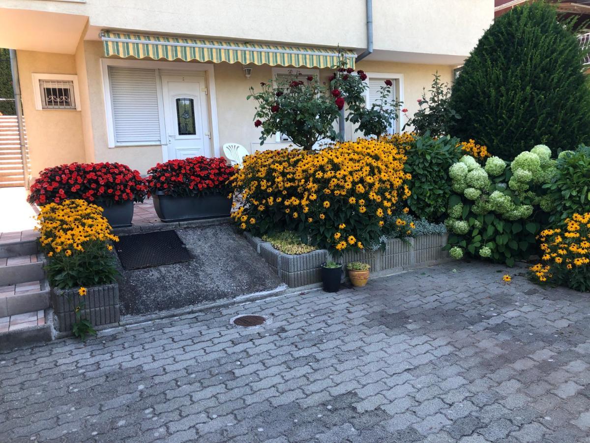 Jozsef Apartments House 잘라카로쉬 외부 사진