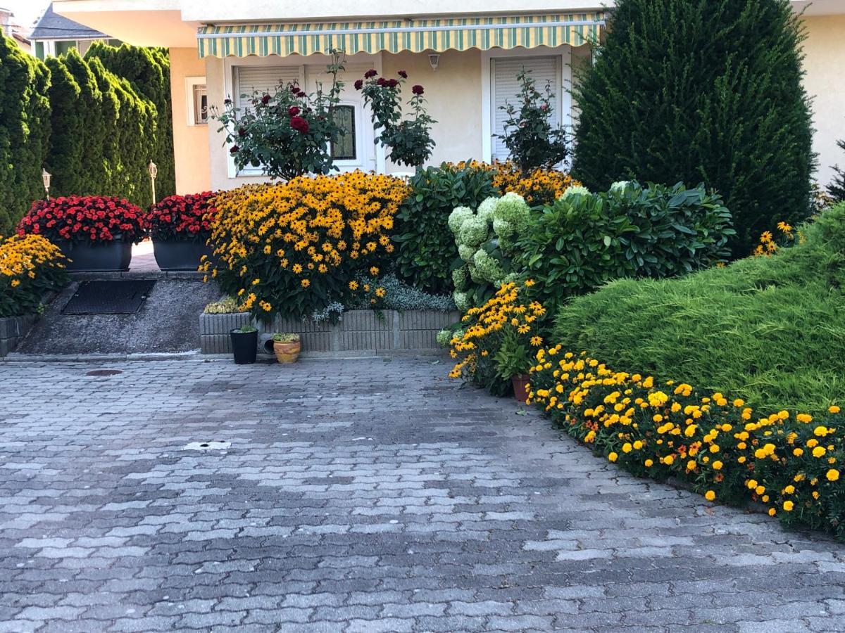 Jozsef Apartments House 잘라카로쉬 외부 사진
