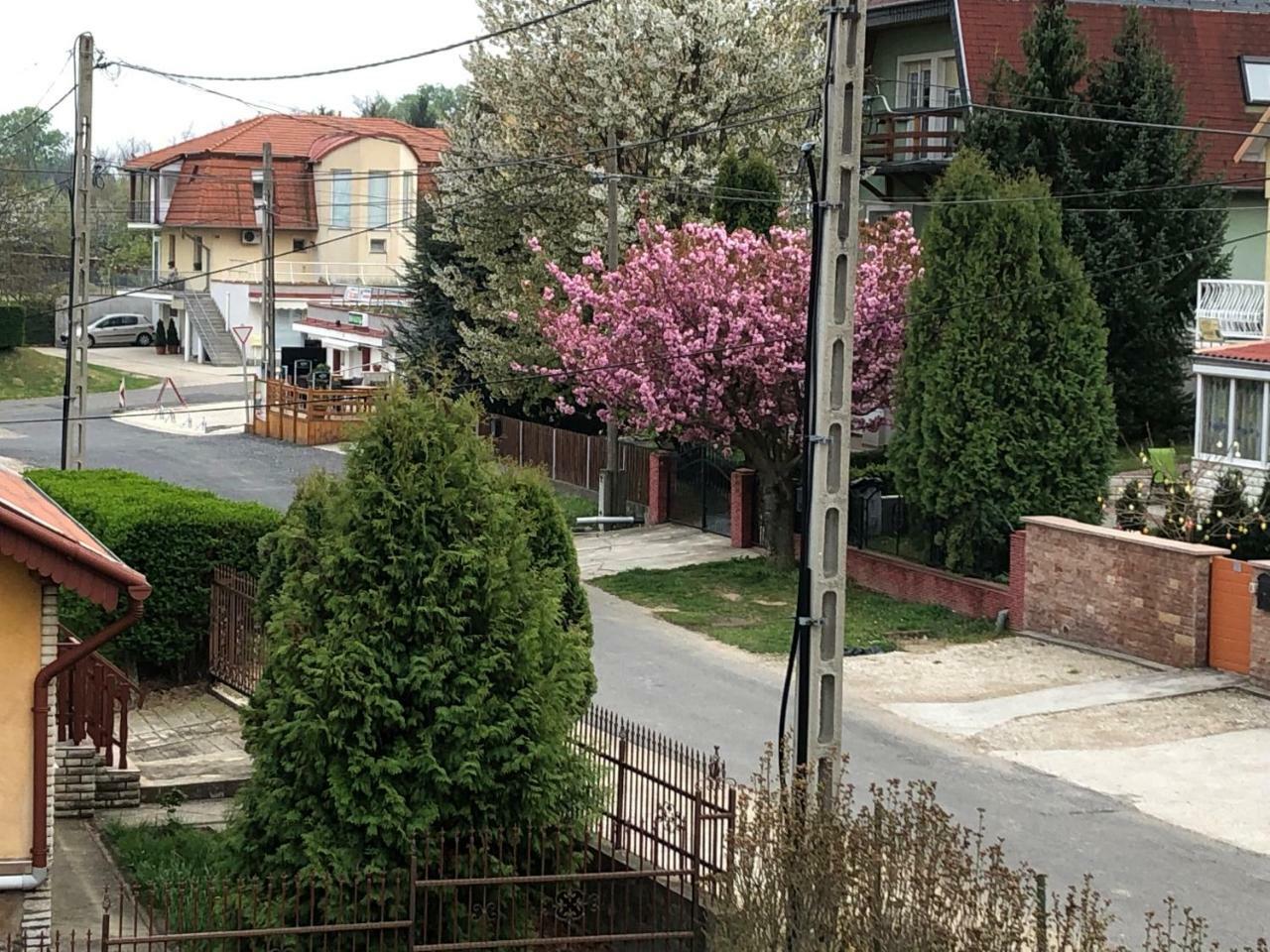Jozsef Apartments House 잘라카로쉬 외부 사진